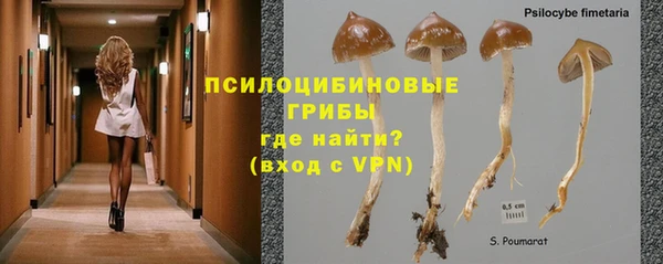 молекула духа Снежногорск