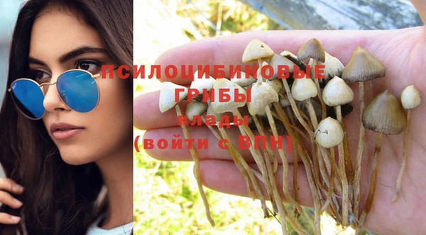 кокс Майский