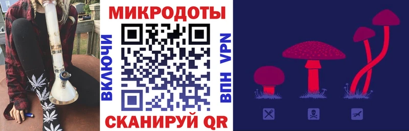 Псилоцибиновые грибы Psilocybe  Удачный 
